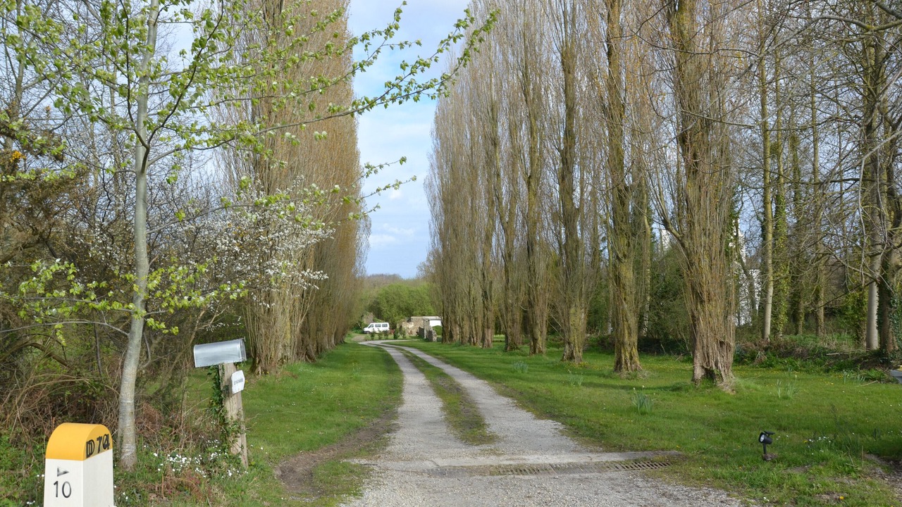 Photo of Outdoor in Saint-Jouan-des-Guerets