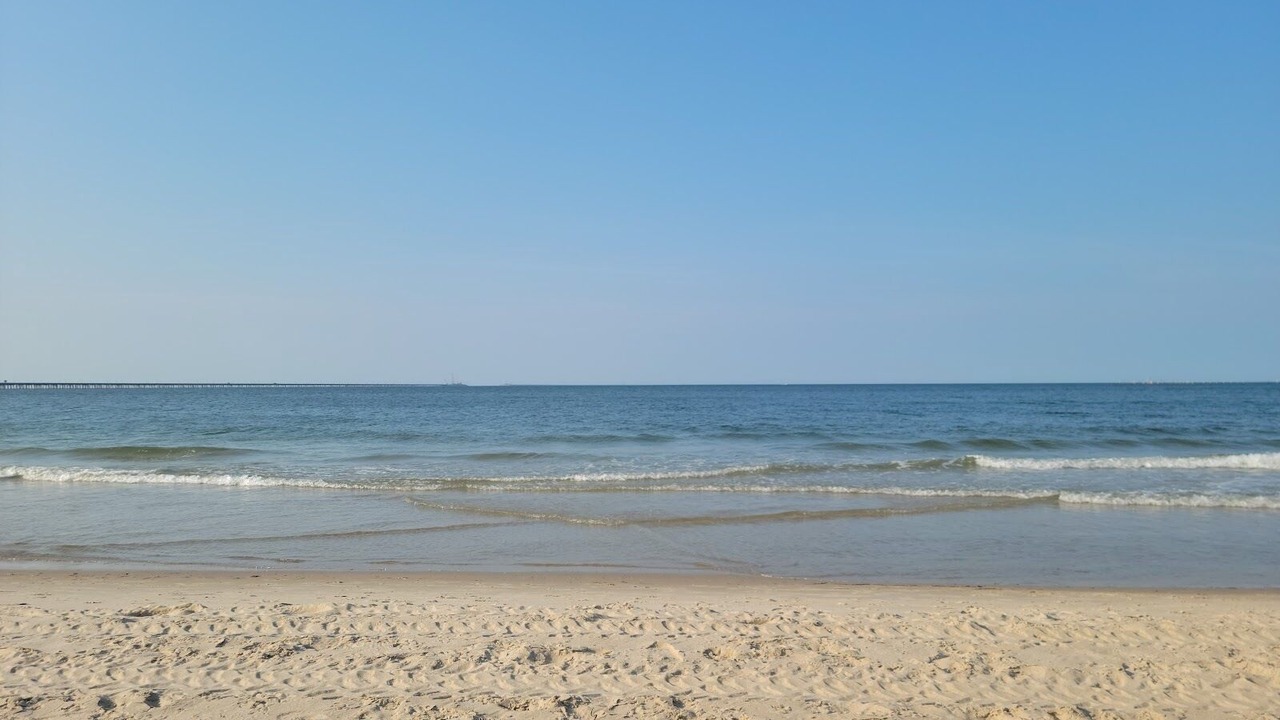 Photo of Others in Chic's Beach