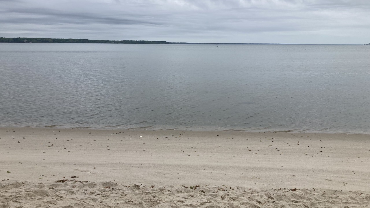 Photo of Others in Gloucester Point