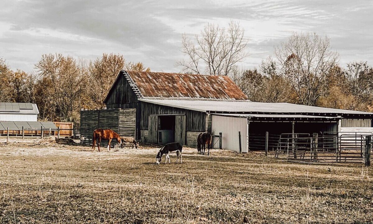 Photo of Outdoor in West Newton