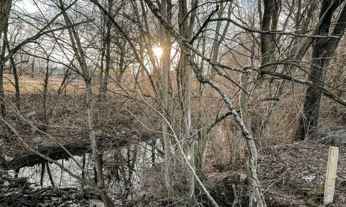 Photo of Others in West Newton