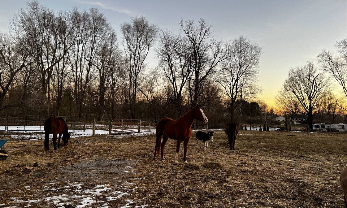 Photo of Outdoor in West Newton