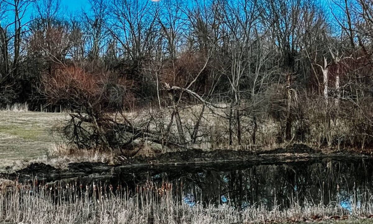 Photo of Others in West Newton