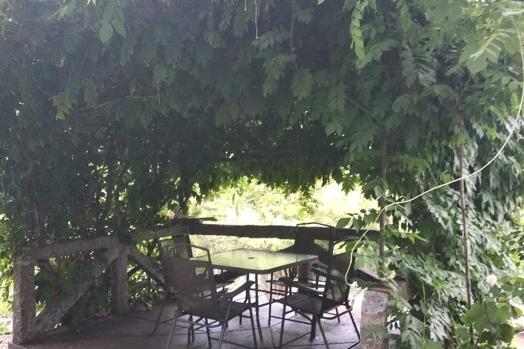Photo of Outdoor in Amarante