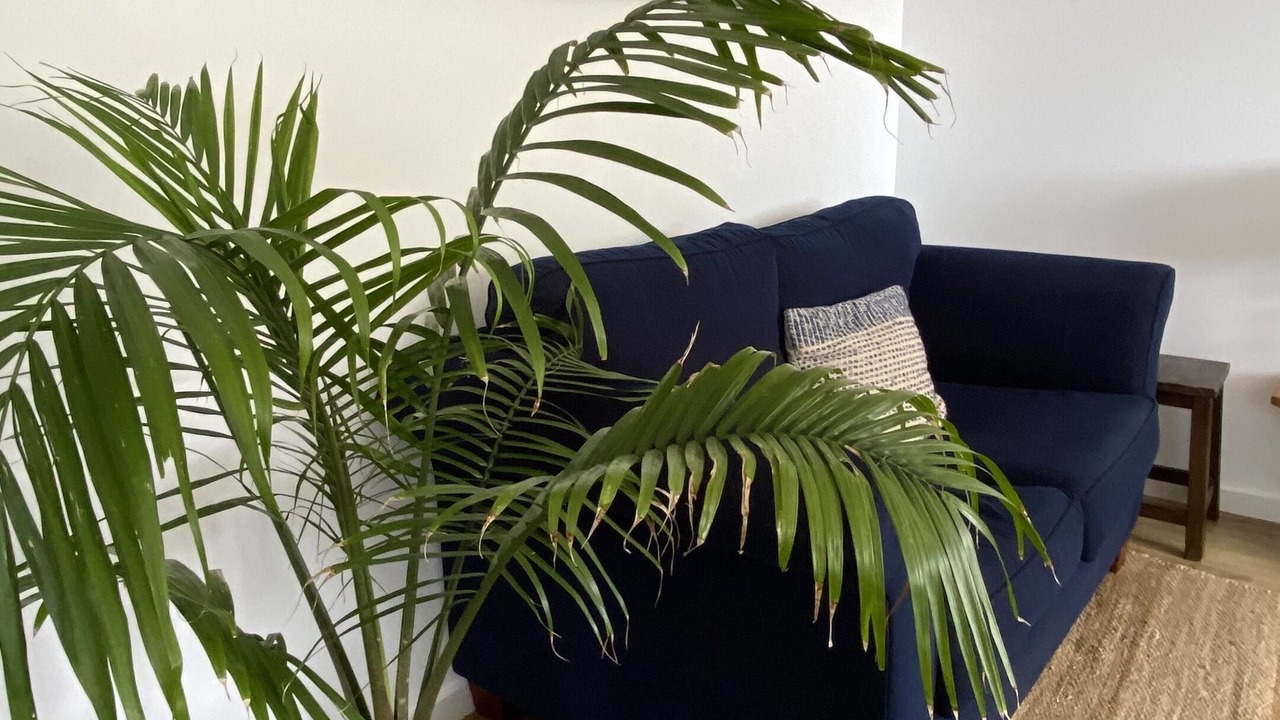 Photo of Livingroom in Bundeena