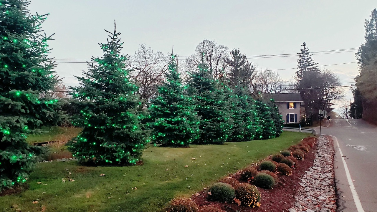 Photo of Outdoor in Williamsville