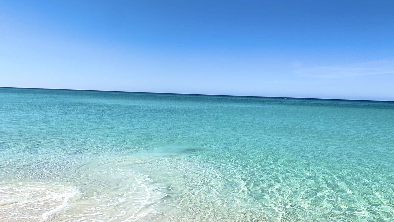 Photo of Others in Fort Bay