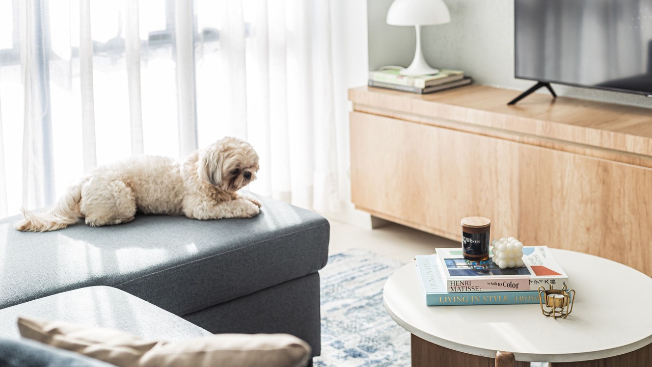 Photo of Livingroom in Lahug