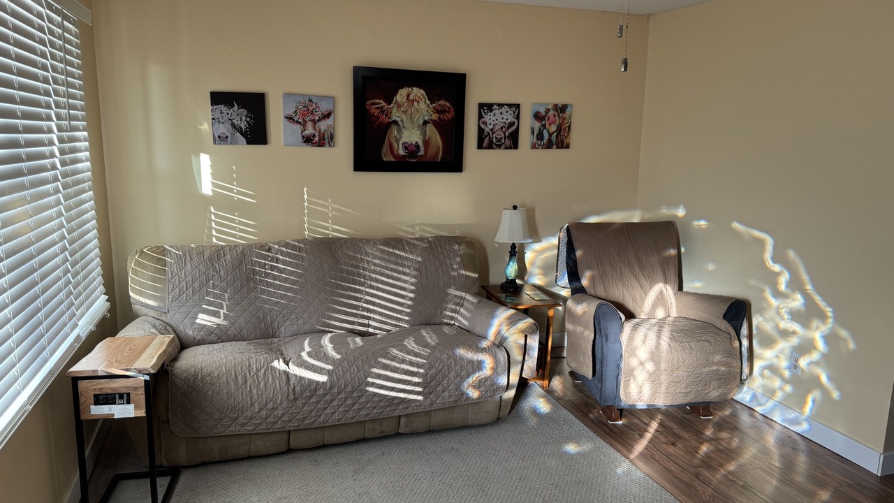 Photo of Livingroom in Palestine