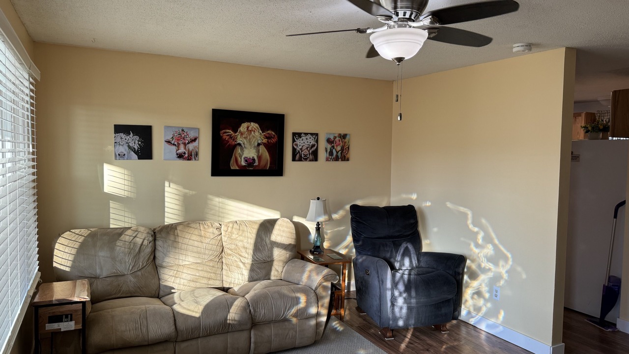 Photo of Livingroom in Palestine