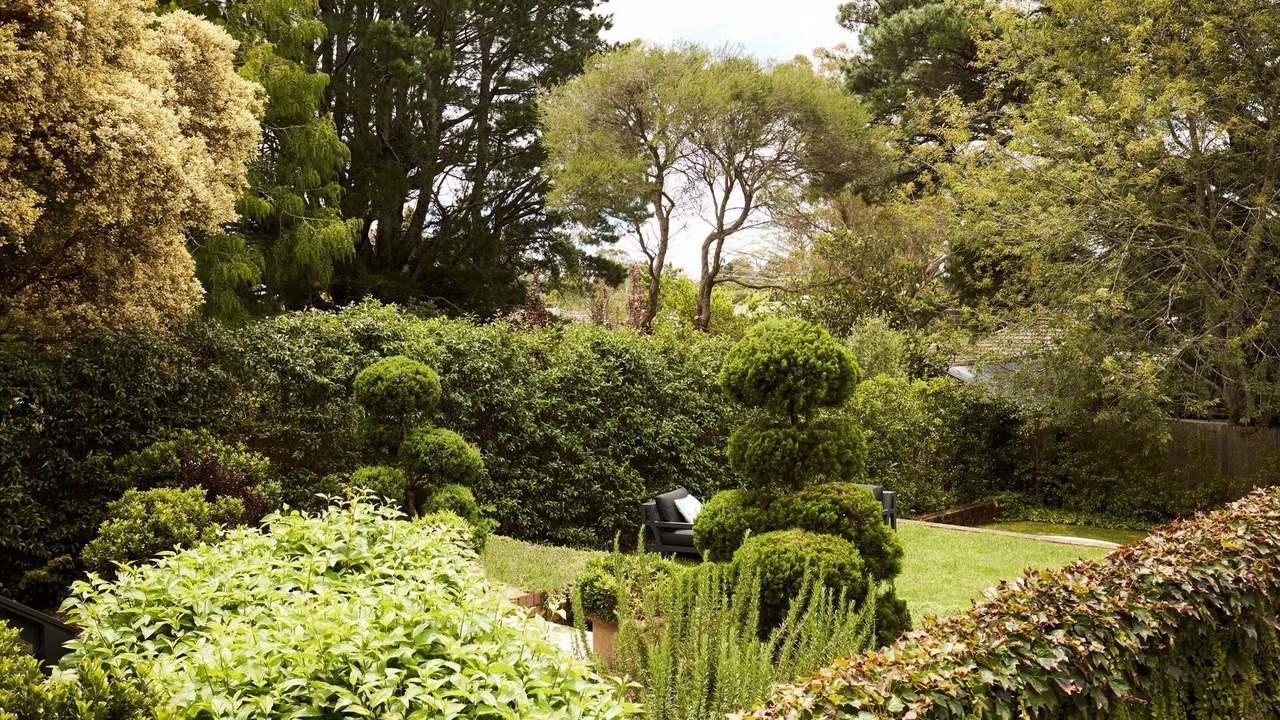 Photo of Outdoor in Katoomba