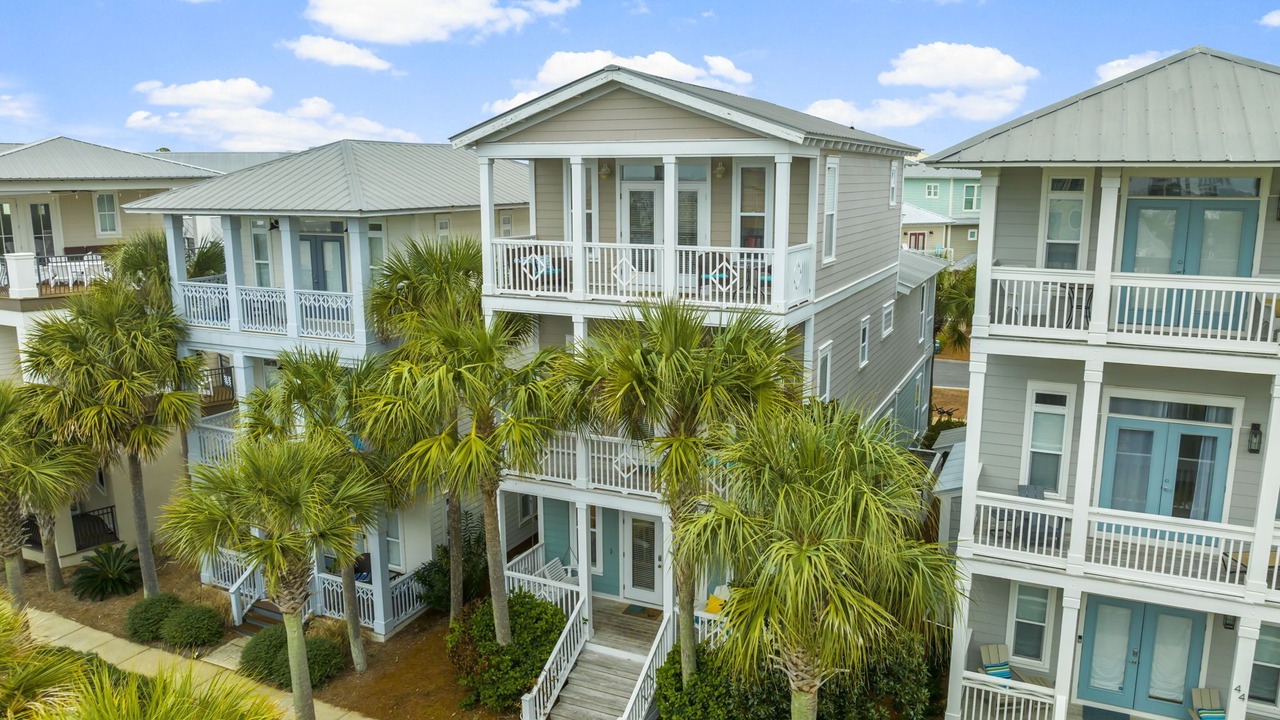 Photo of Outdoor in Treetop