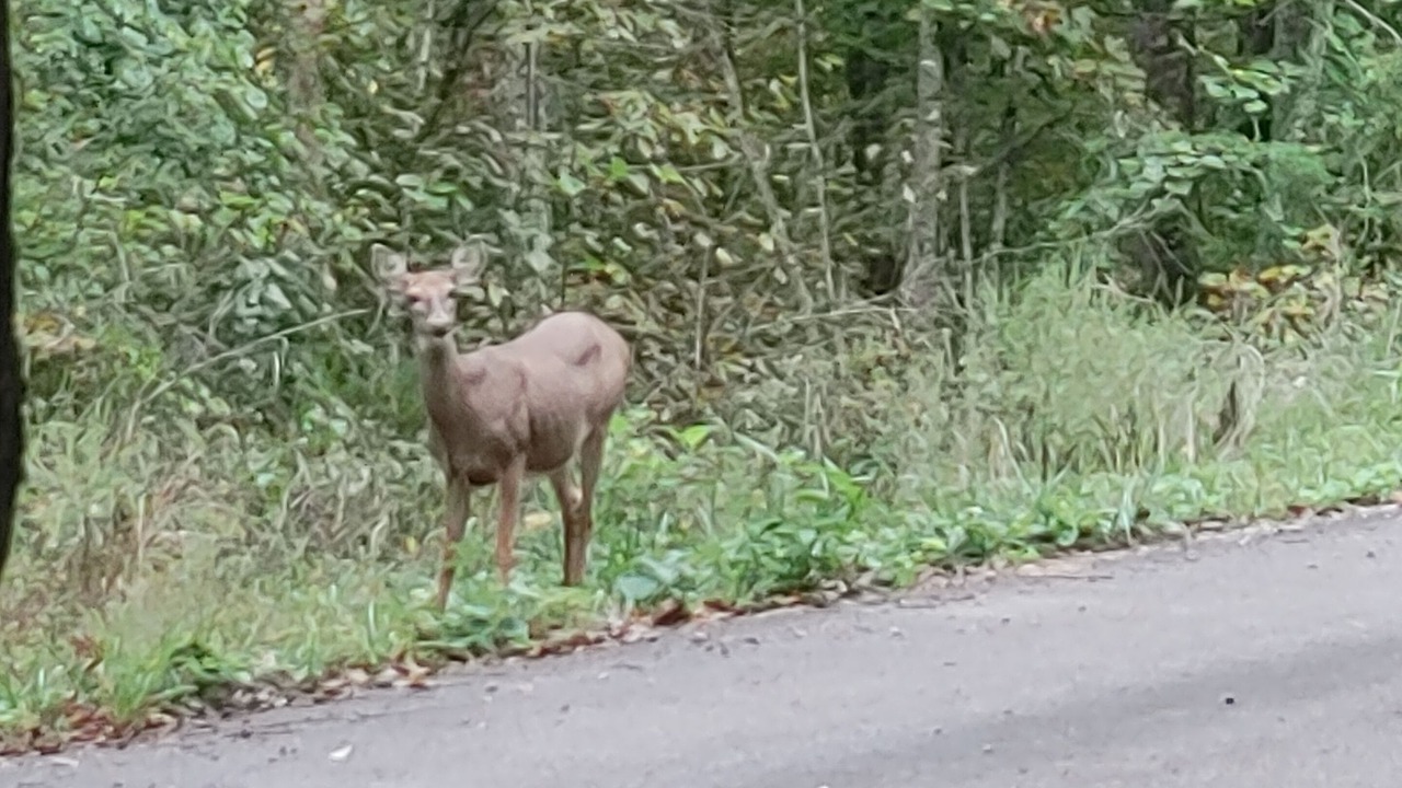 Photo of Others in Sloans Valley