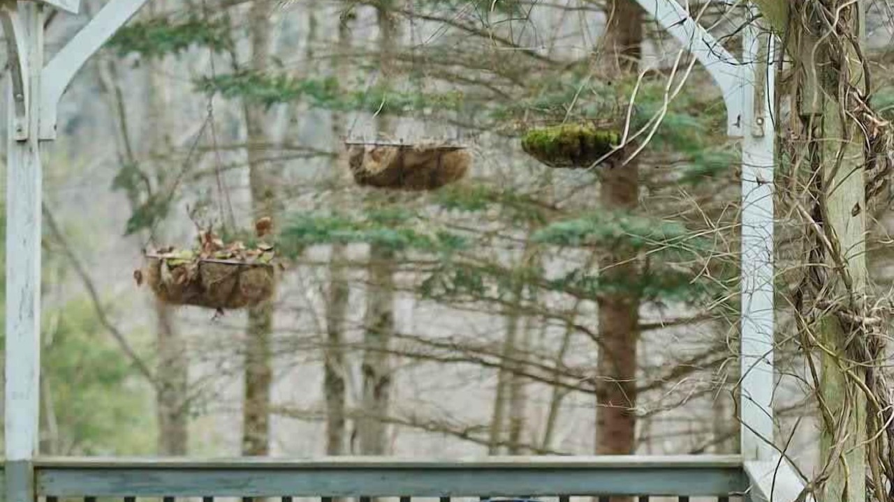 Photo of Outdoor in Margaretville
