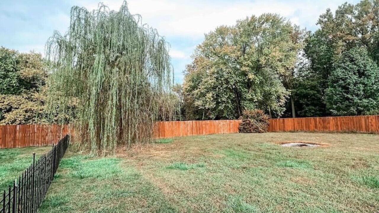 Photo of Outdoor in West Newton
