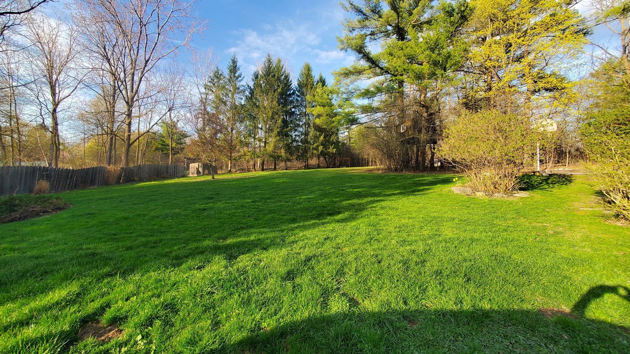Photo of Outdoor in East Ithaca