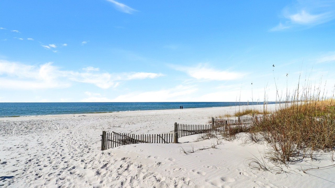 Photo of Others in Mexico Beach