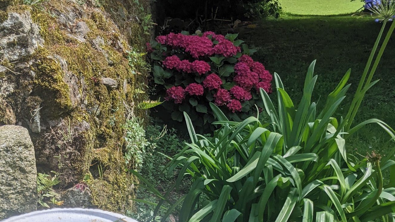 Photo of Outdoor in Theix-Noyalo