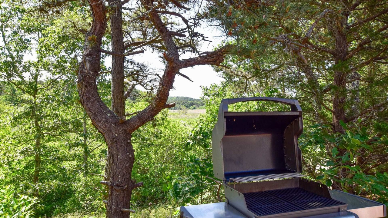 Photo of Outdoor in Truro