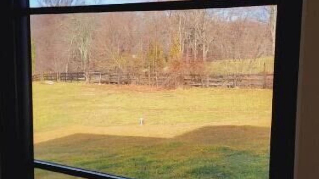 Photo of Others in Middleburg