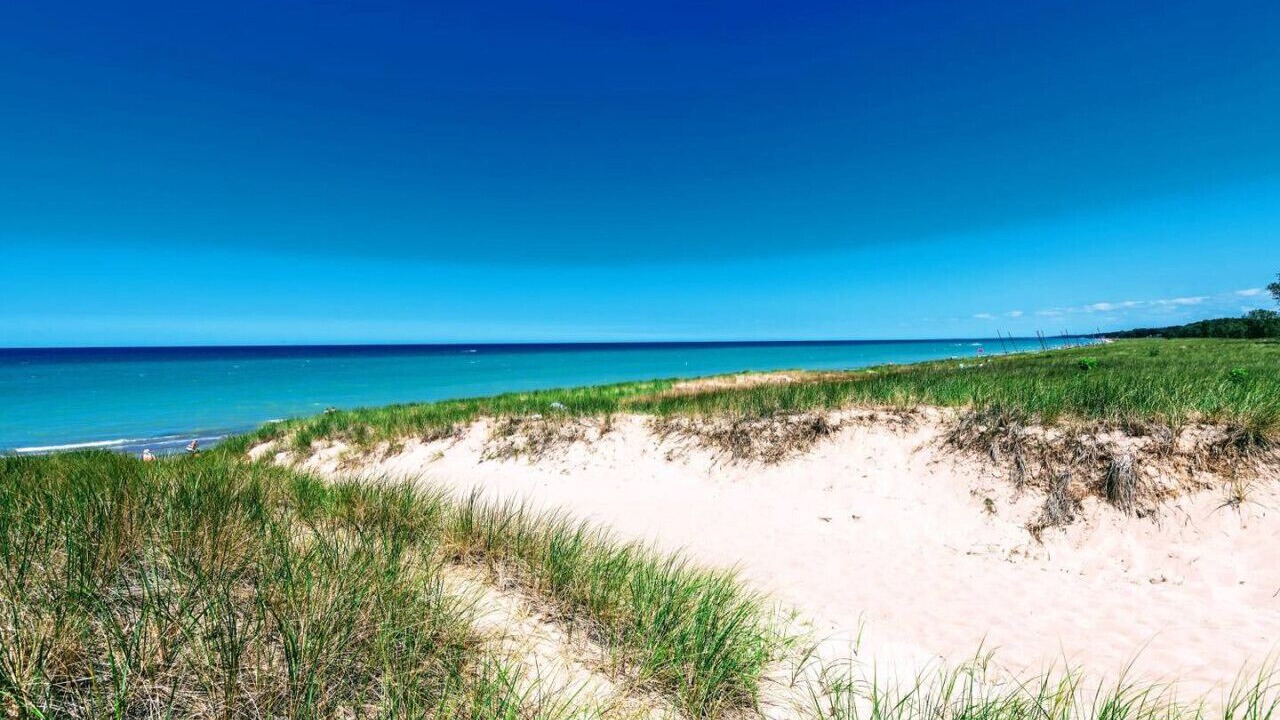 Photo of Others in Michigan City