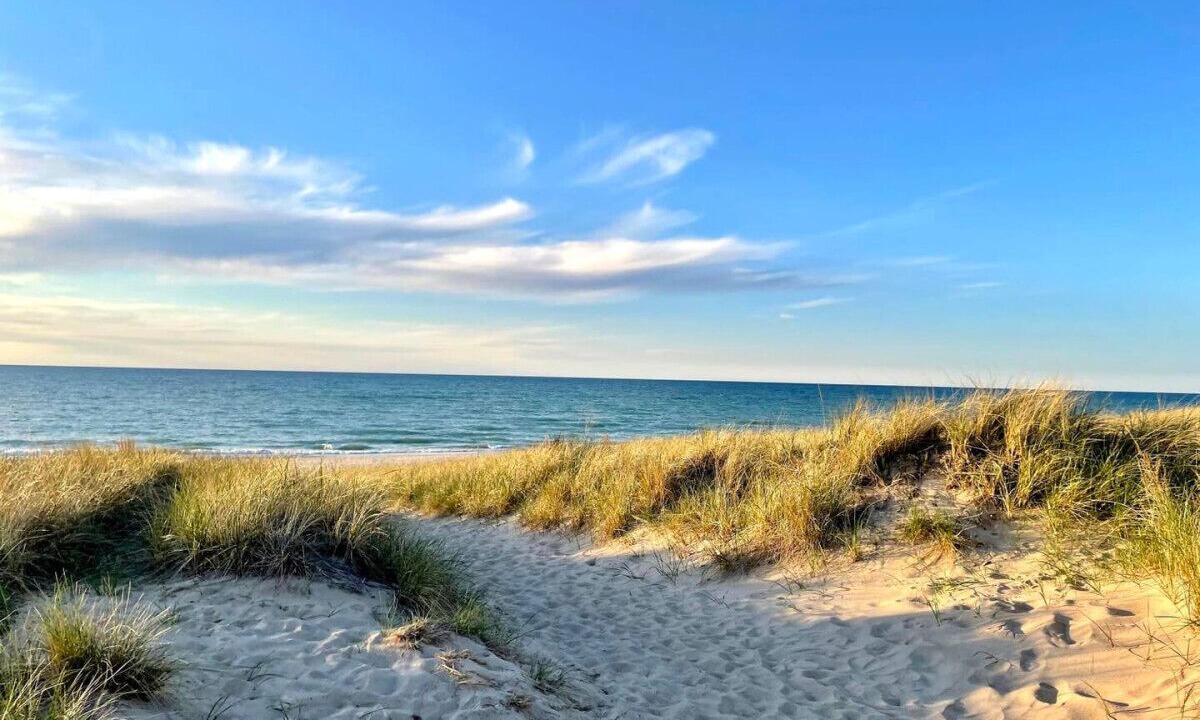 Photo of Others in Michigan City