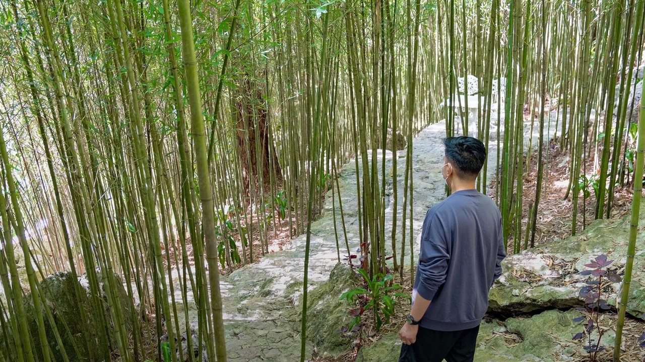 Photo of Others in Baguio