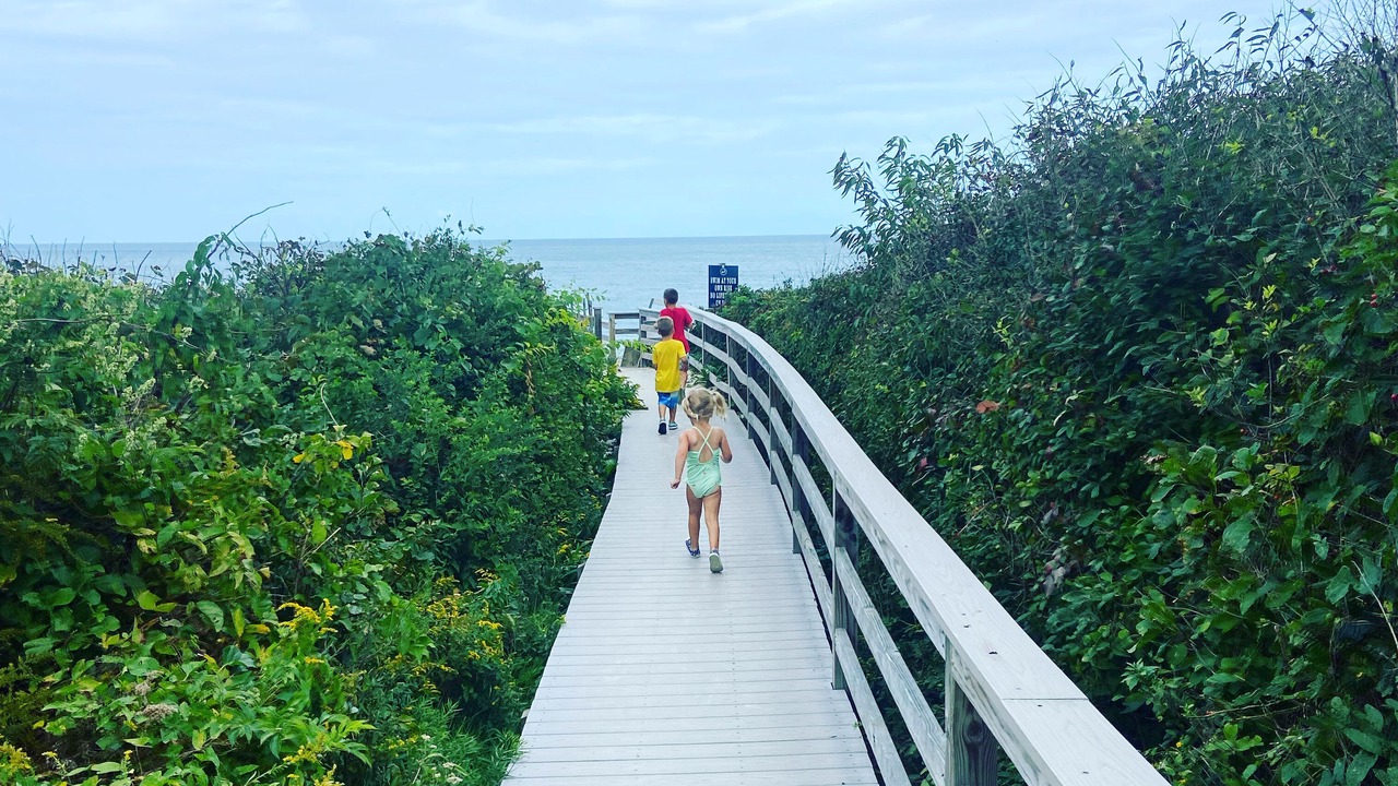 Photo of Others in East Sandwich