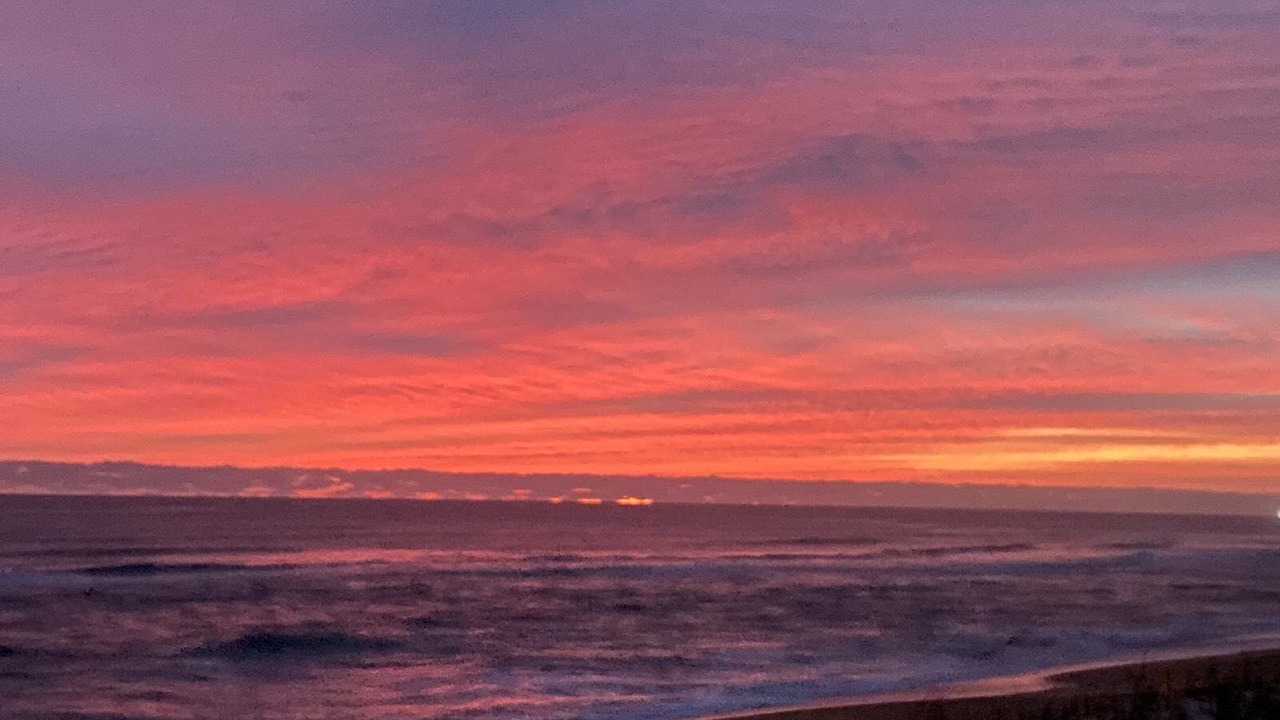 Photo of Others in Flagler Beach