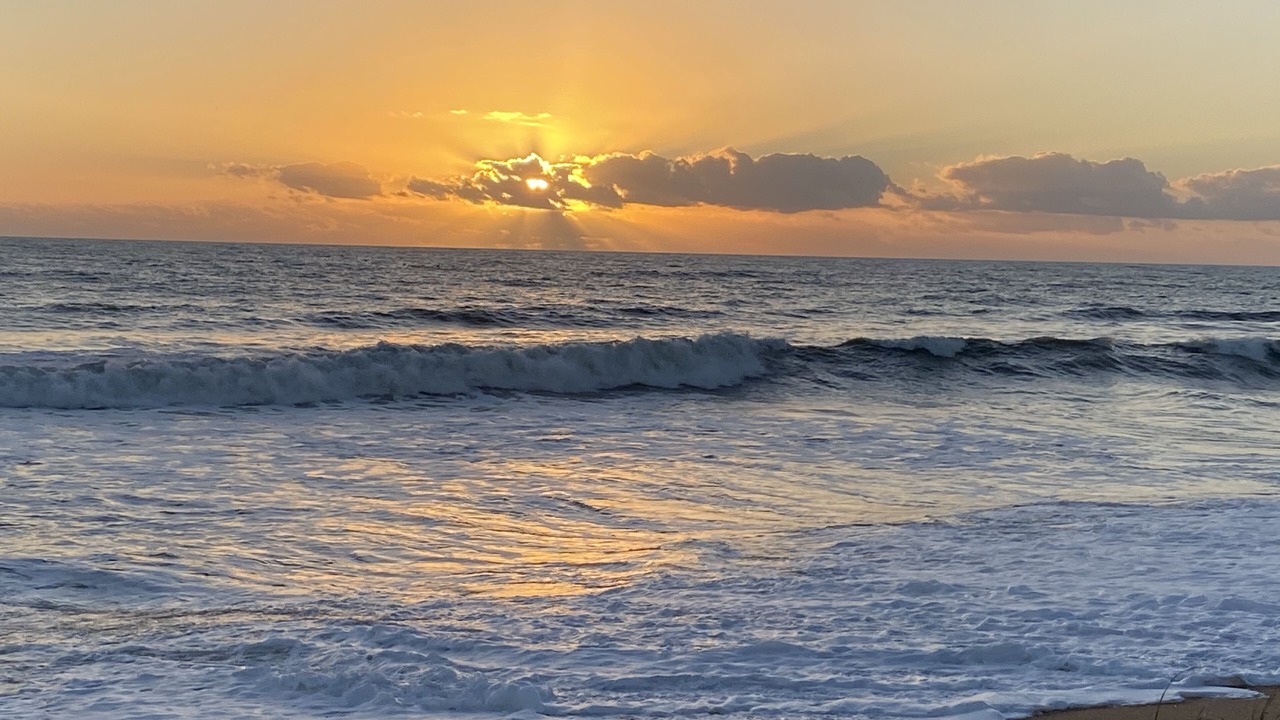 Photo of Others in Flagler Beach