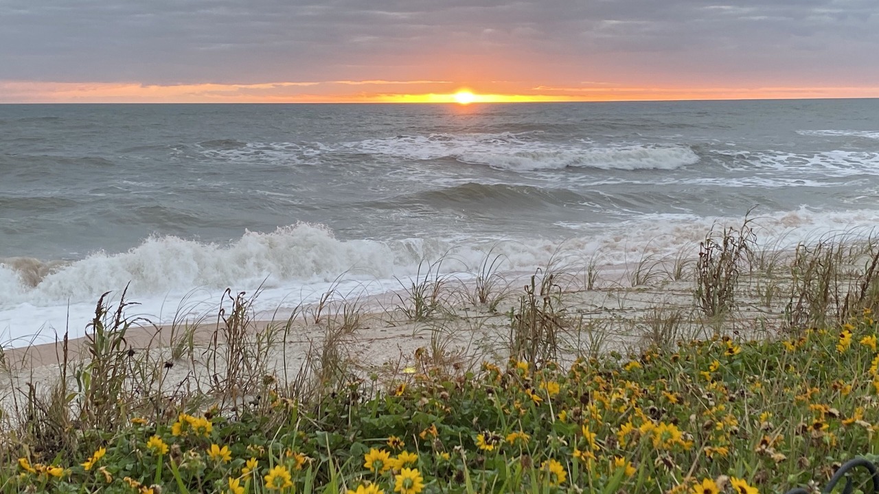 Photo of Others in Flagler Beach