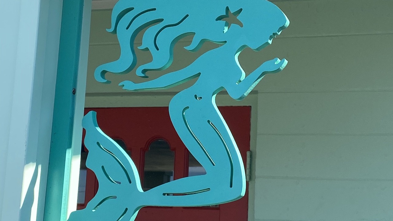 Photo of Outdoor in Flagler Beach