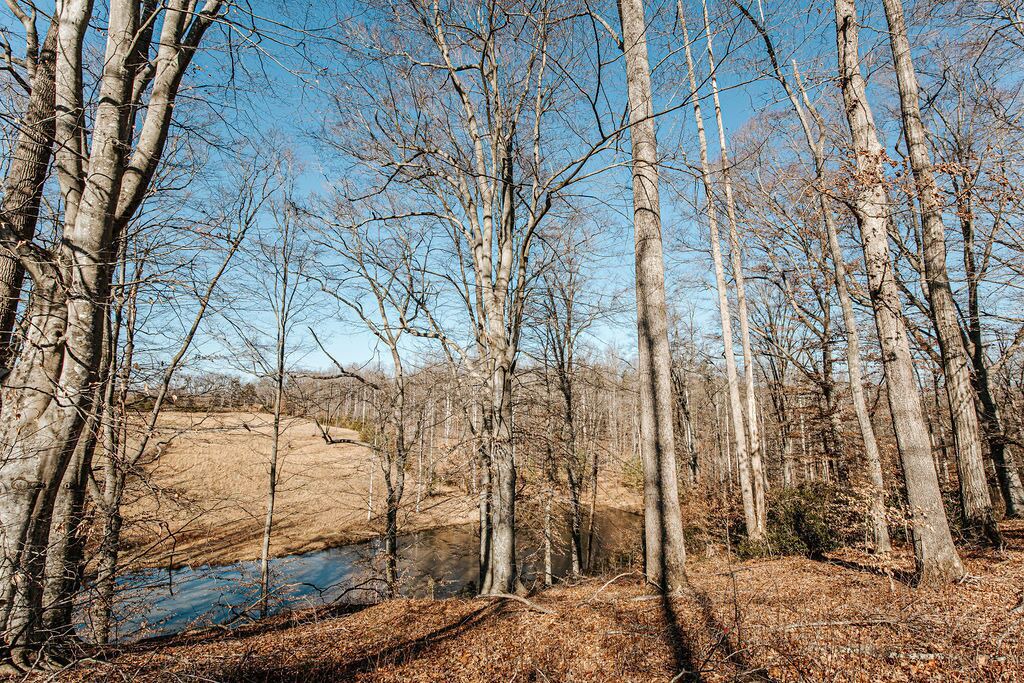 Photo of Outdoor in Batesville