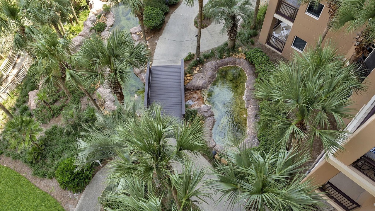 Photo of Outdoor in Gulf Pines