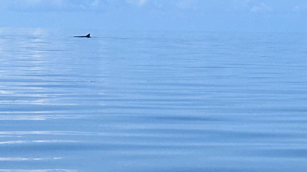 Photo of Others in Keaton Beach