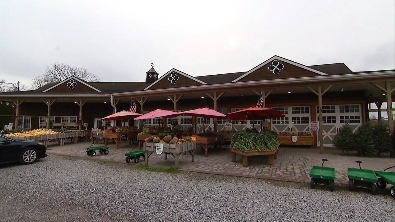 Photo of Outdoor in Riverhead