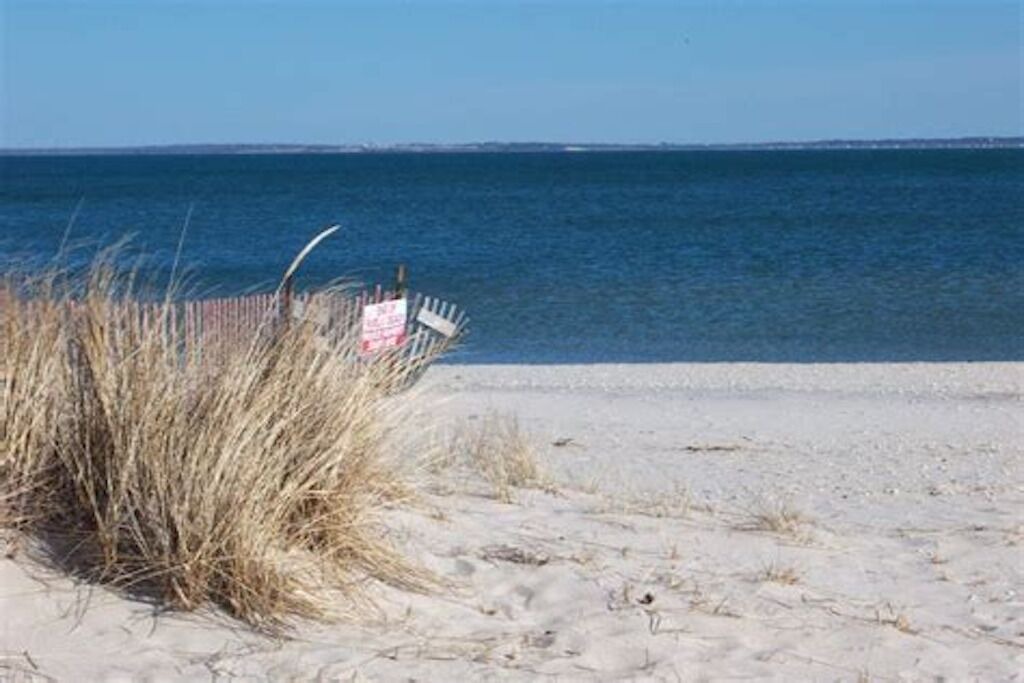 Photo of Others in Riverhead