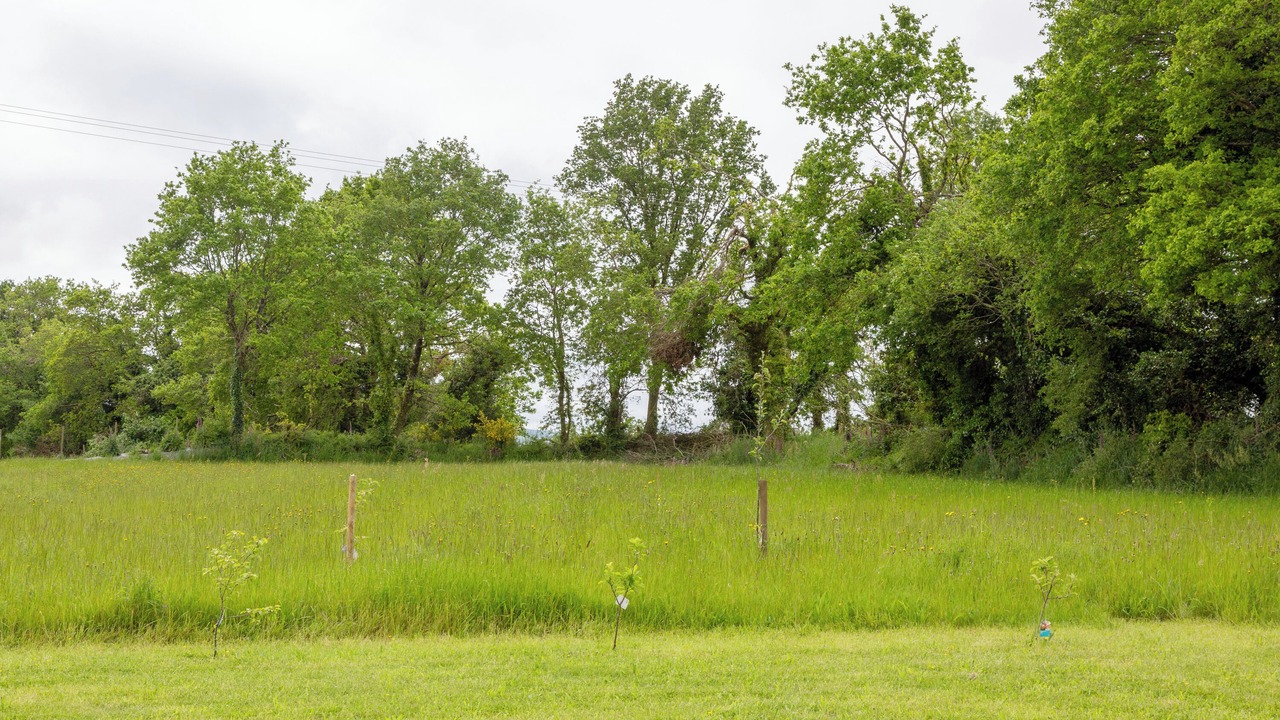 Photo of Others in Landeleau
