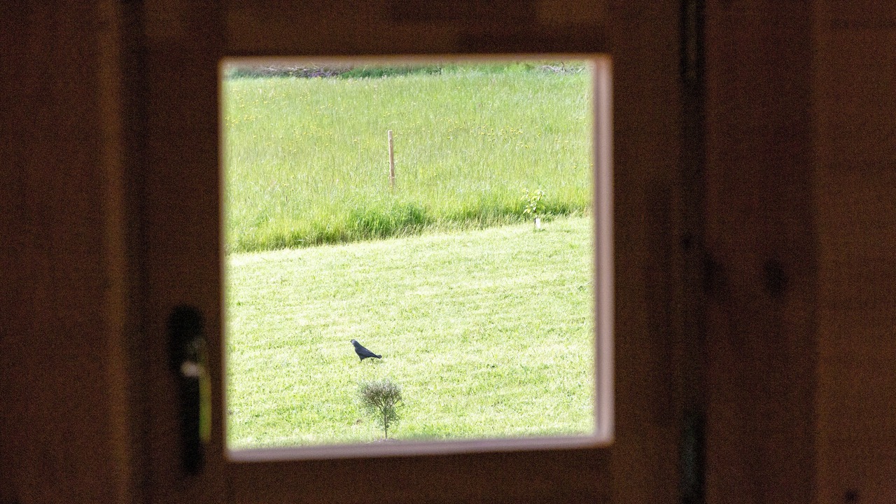 Photo of Others in Landeleau