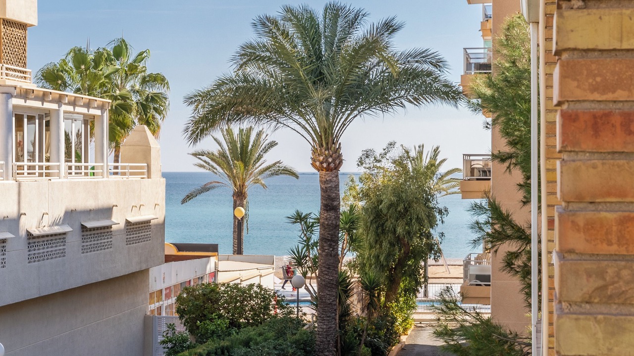 Photo of Outdoor in El Albir