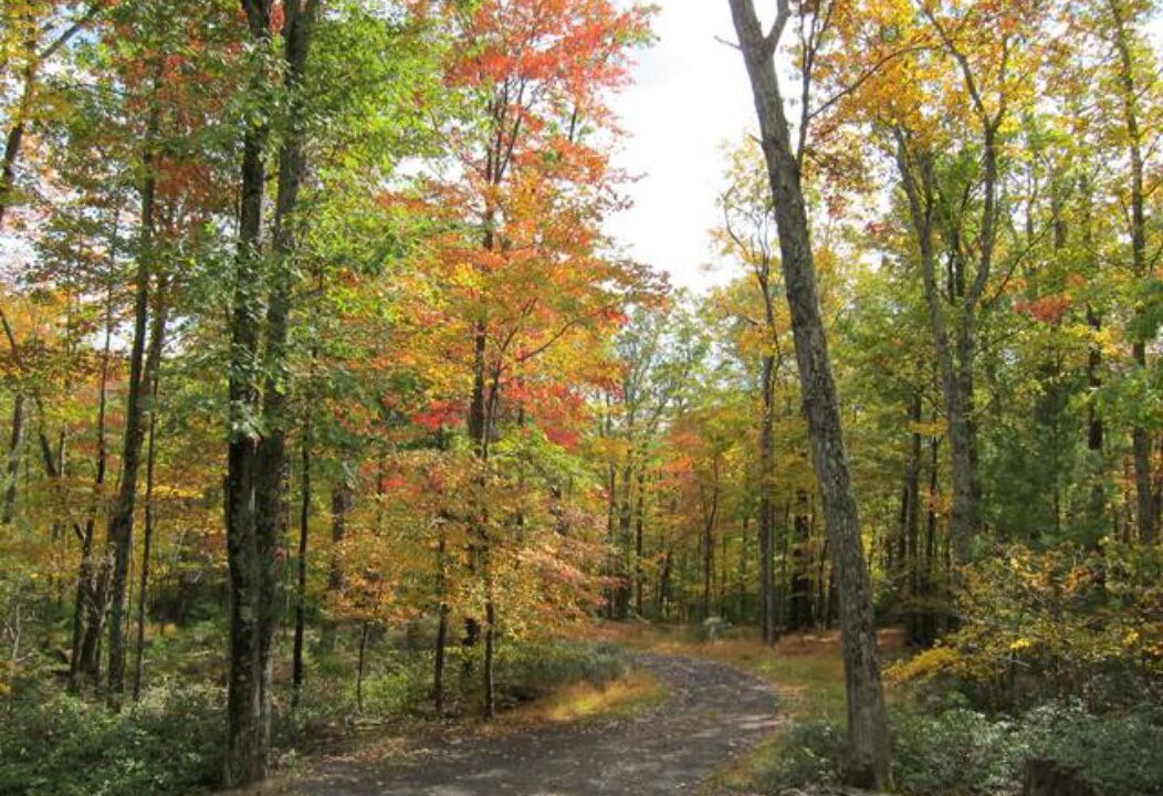 Photo of Others in Mount Tremper