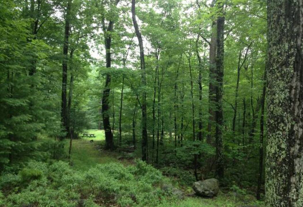 Photo of Others in Mount Tremper