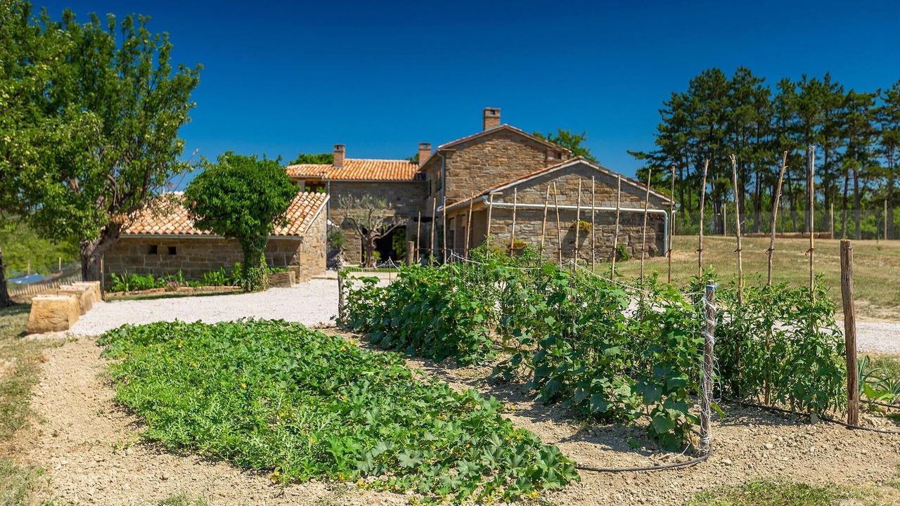 Photo of Others in Buzet