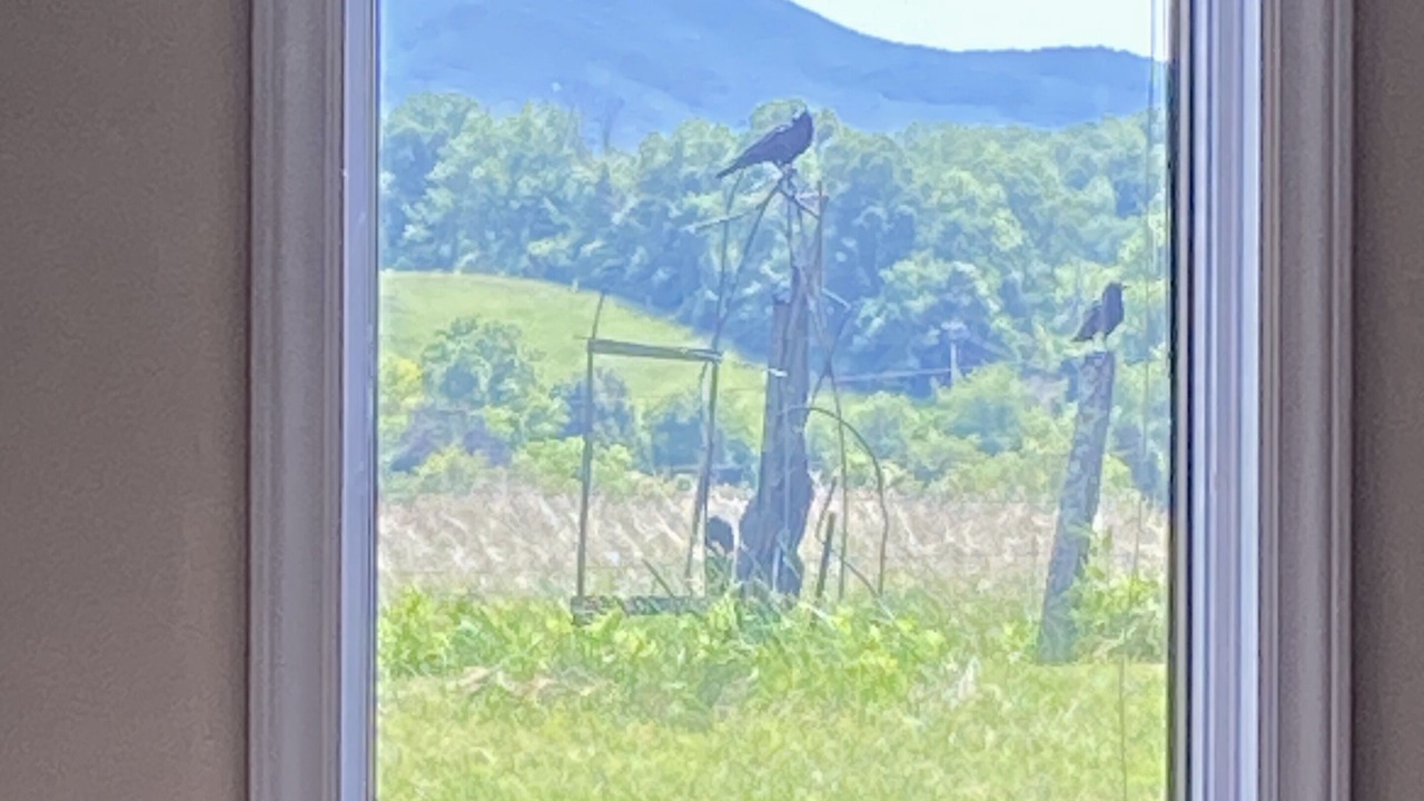 Photo of Others in Fincastle