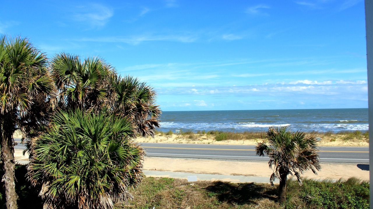 Photo of Others in Flagler Beach