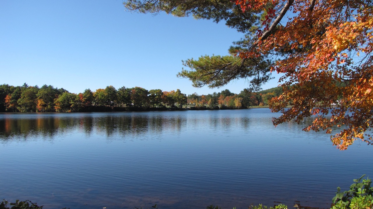 Photo of Others in Milford