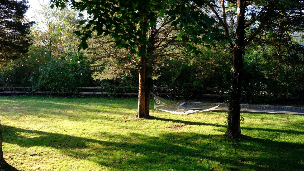 Photo of Outdoor in Dennis
