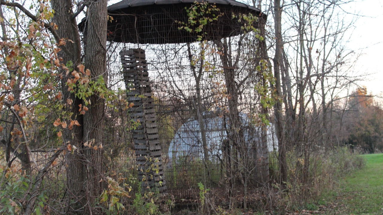 Photo of Others in Wheeler