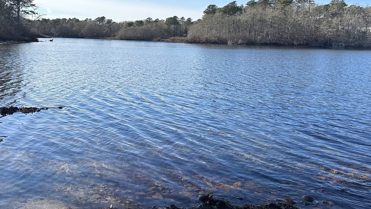 Photo of Outdoor in Harwich