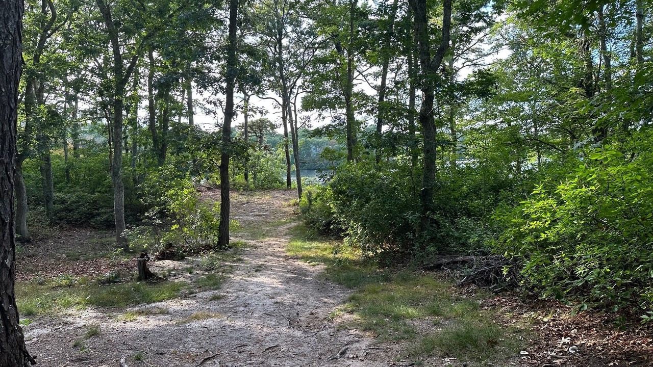Photo of Outdoor in Harwich